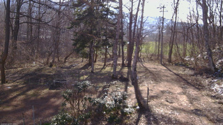長野県菅平高原 ゆたか山荘 坂上 2026/04/09 07:00