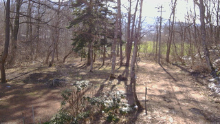 長野県菅平高原 ゆたか山荘 坂上 2026/04/09 07:15