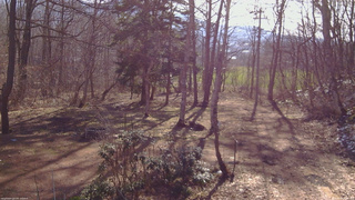 長野県菅平高原 ゆたか山荘 坂上 2026/04/09 07:45