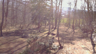 長野県菅平高原 ゆたか山荘 坂上 2026/04/09 08:00
