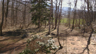 長野県菅平高原 ゆたか山荘 坂上 2026/04/09 08:15