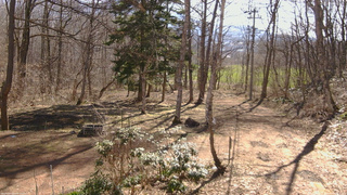 長野県菅平高原 ゆたか山荘 坂上 2026/04/09 08:30