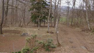 長野県菅平高原 ゆたか山荘 坂上 2026/04/09 15:45
