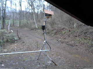 長野県菅平高原 ゆたか山荘 南側 2026/04/10 05:45