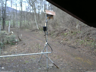 長野県菅平高原 ゆたか山荘 南側 2026/04/10 06:45