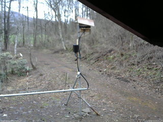 長野県菅平高原 ゆたか山荘 南側 2026/04/10 07:15