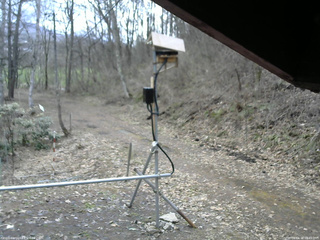 長野県菅平高原 ゆたか山荘 南側 2026/04/10 09:45