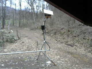 長野県菅平高原 ゆたか山荘 南側 2026/04/10 10:15