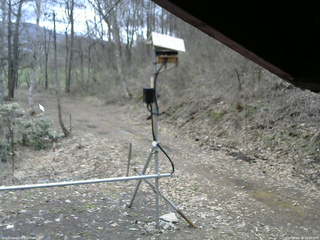 長野県菅平高原 ゆたか山荘 南側 2026/04/10 11:00