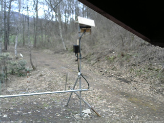 長野県菅平高原 ゆたか山荘 南側 2026/04/10 11:15