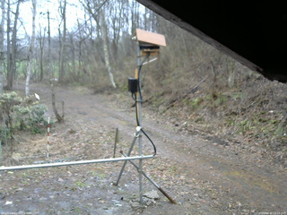 長野県菅平高原 ゆたか山荘 南側 2026/04/10 13:15