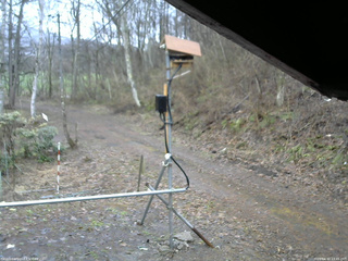 長野県菅平高原 ゆたか山荘 南側 2026/04/10 13:45