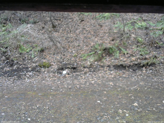 長野県菅平高原 ゆたか山荘 東側(坂下) 2026/04/10 07:45