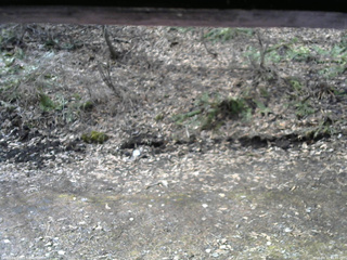 長野県菅平高原 ゆたか山荘 東側(坂下) 2026/04/10 08:45