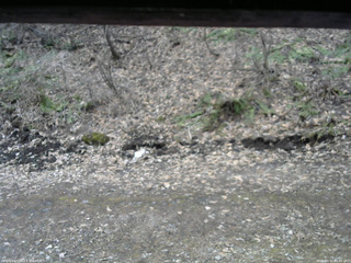 長野県菅平高原 ゆたか山荘 東側(坂下) 2026/04/10 09:45