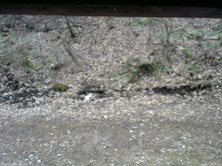 長野県菅平高原 ゆたか山荘 東側(坂下) 2026/04/10 10:15