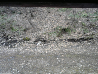 長野県菅平高原 ゆたか山荘 東側(坂下) 2026/04/10 11:00