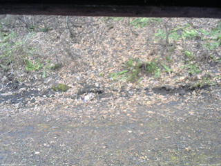 長野県菅平高原 ゆたか山荘 東側(坂下) 2026/04/10 11:45