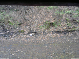 長野県菅平高原 ゆたか山荘 東側(坂下) 2026/04/10 12:15