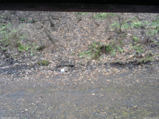 長野県菅平高原 ゆたか山荘 東側(坂下) 2026/04/10 12:30