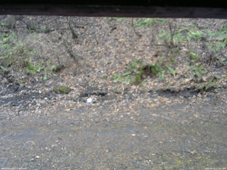 長野県菅平高原 ゆたか山荘 東側(坂下) 2026/04/10 12:45