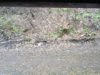 長野県菅平高原 ゆたか山荘 東側(坂下) 2026/04/10 13:15