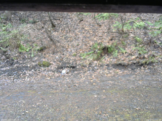 長野県菅平高原 ゆたか山荘 東側(坂下) 2026/04/10 13:30