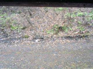 長野県菅平高原 ゆたか山荘 東側(坂下) 2026/04/10 13:45