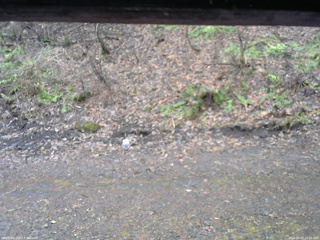 長野県菅平高原 ゆたか山荘 東側(坂下) 2026/04/10 14:00