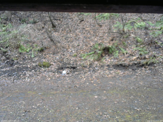 長野県菅平高原 ゆたか山荘 東側(坂下) 2026/04/10 14:15