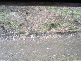 長野県菅平高原 ゆたか山荘 東側(坂下) 2026/04/10 14:30