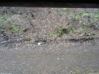 長野県菅平高原 ゆたか山荘 東側(坂下) 2026/04/10 15:00