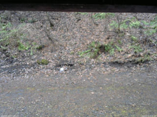 長野県菅平高原 ゆたか山荘 東側(坂下) 2026/04/10 15:30