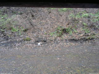 長野県菅平高原 ゆたか山荘 東側(坂下) 2026/04/10 15:45