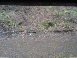 長野県菅平高原 ゆたか山荘 東側(坂下) 2026/04/10 16:00