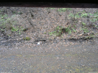 長野県菅平高原 ゆたか山荘 東側(坂下) 2026/04/10 16:30