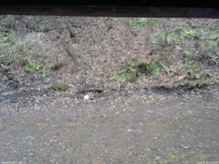 長野県菅平高原 ゆたか山荘 東側(坂下) 2026/04/10 16:45