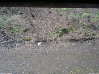 長野県菅平高原 ゆたか山荘 東側(坂下) 2026/04/10 17:00