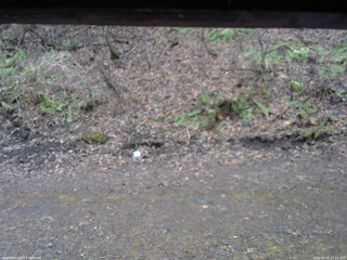 長野県菅平高原 ゆたか山荘 東側(坂下) 2026/04/10 17:15