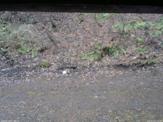 長野県菅平高原 ゆたか山荘 東側(坂下) 2026/04/10 17:30