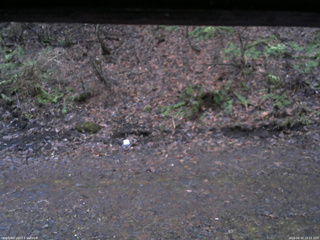 長野県菅平高原 ゆたか山荘 東側(坂下) 2026/04/10 18:15