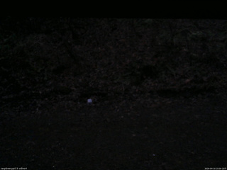 長野県菅平高原 ゆたか山荘 東側(坂下) 2026/04/10 18:30