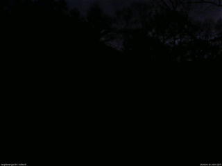 長野県菅平高原 ゆたか山荘 西側(坂上) 2026/04/10 18:45