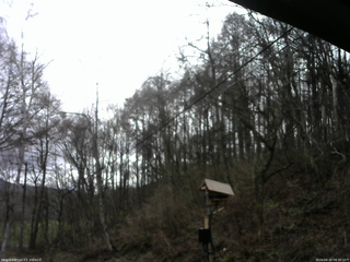 長野県菅平高原 ゆたか山荘 温度計 2026/04/10 08:30