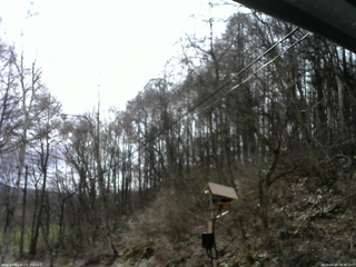 長野県菅平高原 ゆたか山荘 温度計 2026/04/10 08:45