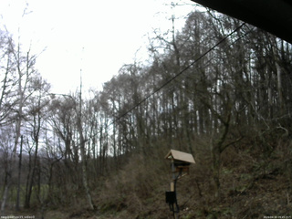 長野県菅平高原 ゆたか山荘 温度計 2026/04/10 09:45