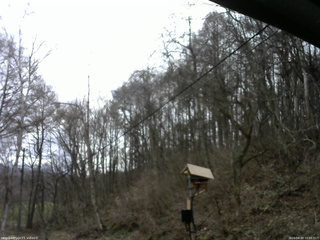 長野県菅平高原 ゆたか山荘 温度計 2026/04/10 10:00