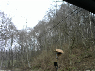 長野県菅平高原 ゆたか山荘 温度計 2026/04/10 11:30