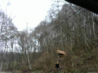 長野県菅平高原 ゆたか山荘 温度計 2026/04/10 12:15