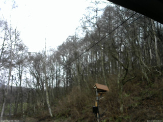 長野県菅平高原 ゆたか山荘 温度計 2026/04/10 15:45